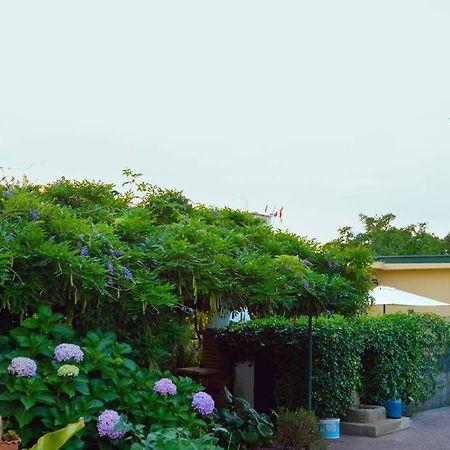 A Tintureira Villa São Martinho de Antas Buitenkant foto