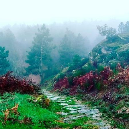 A Tintureira Villa São Martinho de Antas Buitenkant foto