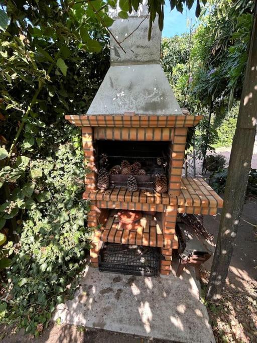 A Tintureira Villa São Martinho de Antas Buitenkant foto