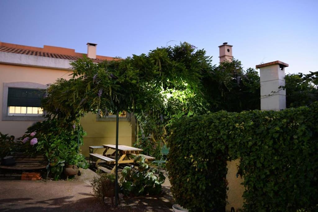 A Tintureira Villa São Martinho de Antas Buitenkant foto