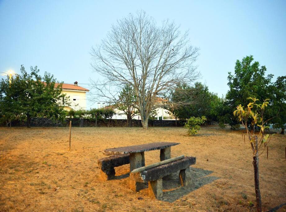 A Tintureira Villa São Martinho de Antas Buitenkant foto
