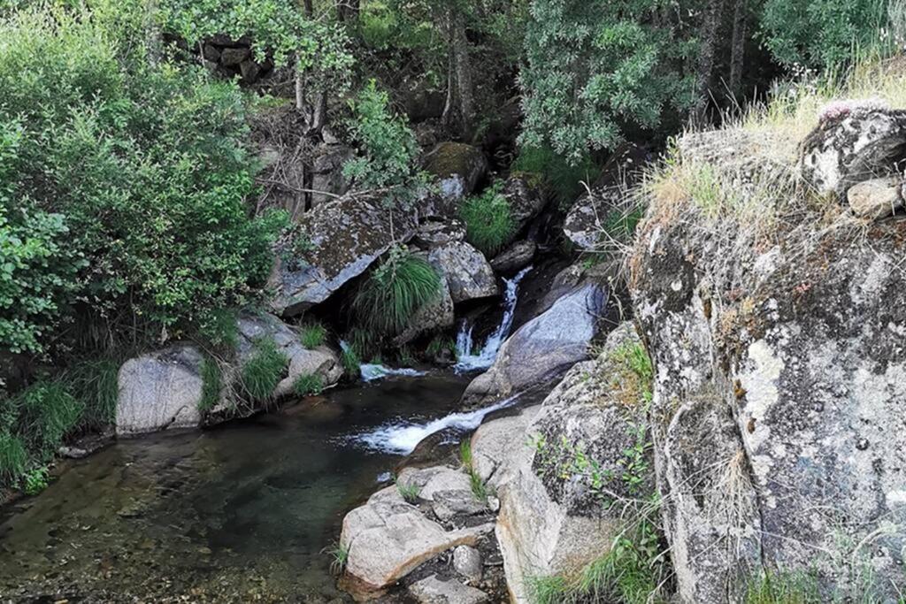 A Tintureira Villa São Martinho de Antas Buitenkant foto